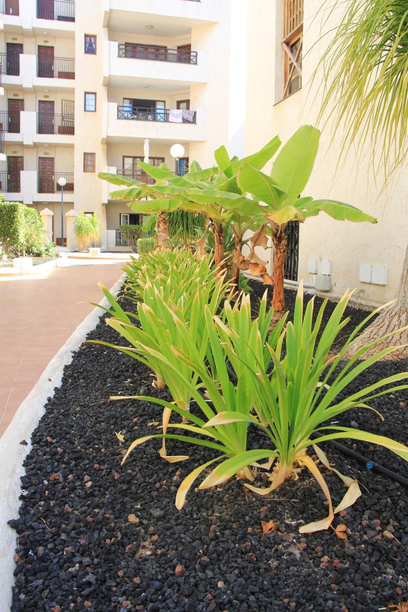 Las Americas - 2 Bedrooms - Flayla-A Arona  Luaran gambar